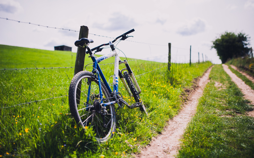 Escursioni in Bici e Cavallo